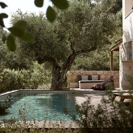 Zayn Luxury Villas, A Serene Escape, By Thinkvilla Tsilivi (Zakynthos) Exterior foto